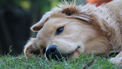 AF1QipMpR2g skmrBoRipqLdP8Gexy1ZYFOOHzs3gMI7w426 h240 k no