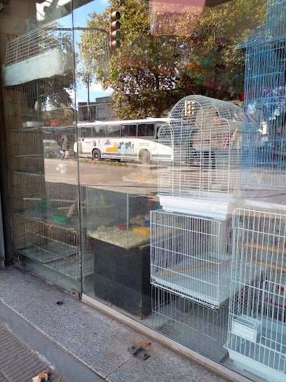 AF1QipMq5dlbhpShaCZbaKMpJirW6FvB1CgYMSpF4nfNw408 h544 k no