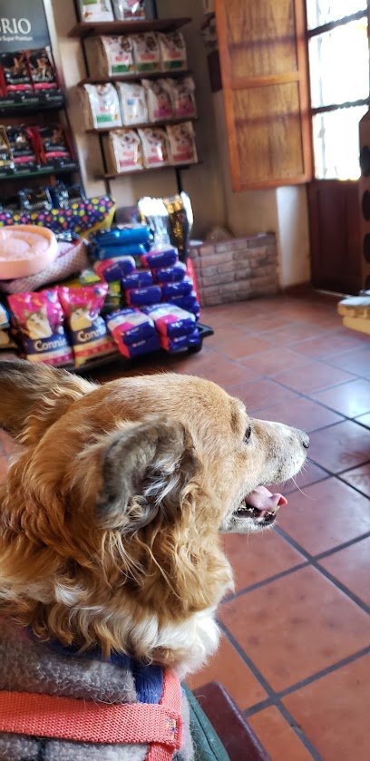 AF1QipMrusTFpcFqfK1GLPodHX67GPOzRe2A65HcT2SMw408 h839 k no