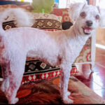 AF1QipMt znTk6dOCBRBbOcjRw5eGAcfUZBqmZIdvkVjw408 h306 k no