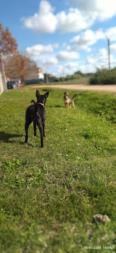 AF1QipMtkP4L1RZMC82UQcCJRuOP2531z4UQ9ESnm8Yew408 h886 k no