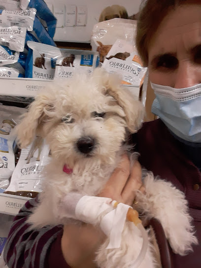 AF1QipMx6C8jLTjbAT1PQGjHVJ7ejpHuFrdDMl wCZUvw408 h544 k no