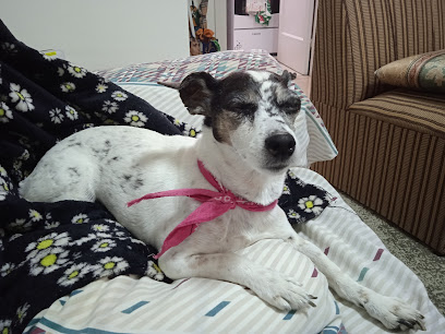 AF1QipMxjuRKAe9S7lYdtoYYUA1Ds5nhGB4o1C87qBkSw408 h306 k no