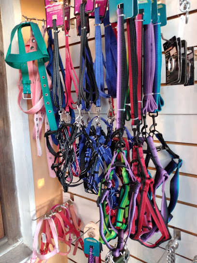 AF1QipMylem3C rVe1u6fzOG23kLhgX0p LW27lrAN5vw408 h544 k no