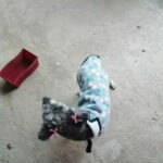 AF1QipMzy 5dCllIu2GLMAYl1oLzFZYXywLZ4uTKm2l7w408 h544 k no