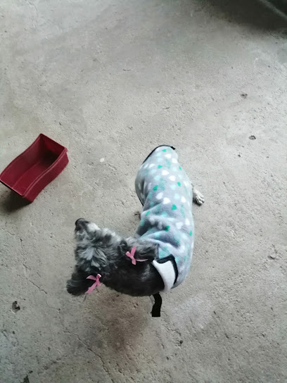 AF1QipMzy 5dCllIu2GLMAYl1oLzFZYXywLZ4uTKm2l7w408 h544 k no