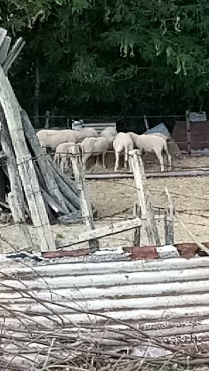 AF1QipN MjTPwDECpniqBVRm1P5t B Nco8EVB1DvujCw408 h725 k no