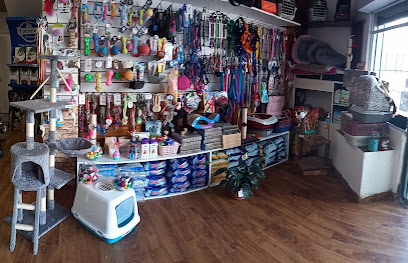 AF1QipN03y0XRrmyH8bBCcJ8LzrWyAkWp0 DGphdZgEFw408 h263 k no