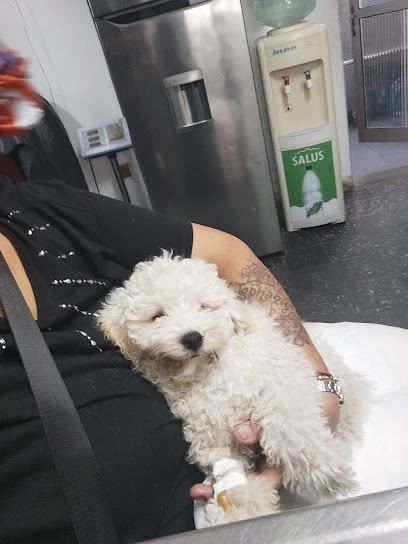 AF1QipN0uhprqIDwdfXVAt 84ATqHamWwXh1zFzk27gw408 h544 k no