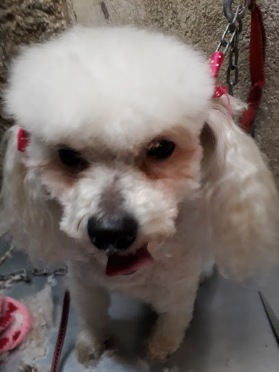 AF1QipN1k7qejtDeQrFPHSBKJxb6an NfWe7a v1v0WUw408 h544 k no