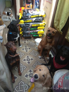 VETERINARIA NUEVA URUGUAYA - Montevideo