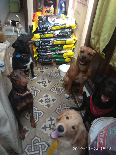 AF1QipN1wOS6G 3 cXsEFEH7tEeYJ7KWr6hgcym nJcdw408 h544 k no