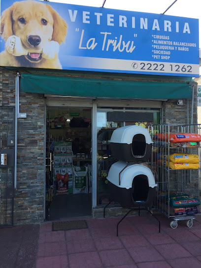 AF1QipN2FnMR6aSC9hvxE aSOp tB OMViXGF4rxYiZ w408 h544 k no