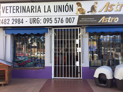 AF1QipN3cUNyZlfxhFsa58yCDX5Ok2aKphaWnsP5sz9lw408 h306 k no