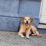 AF1QipN58Gm4 xZz9reS7bNEXpikRiMGrCzCPgzTRh Tw408 h306 k no