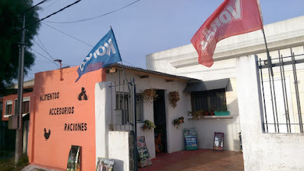 AF1QipN6bKpKr3pfVHluNXw5M WhLVseH1HvBxPIgPBtw426 h240 k no