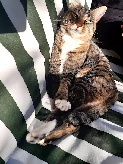 AF1QipN6ePLxjauE8EBGIBiAwGmNxtdiEayvwzGIER9Xw408 h544 k no