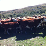 AF1QipN7hPRbWenjgEMbFv0tsc4A25Z1BIOCx14Qn9jmw408 h304 k no