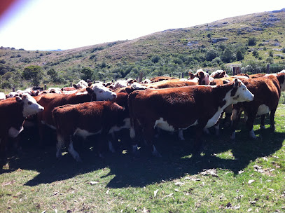 AF1QipN7hPRbWenjgEMbFv0tsc4A25Z1BIOCx14Qn9jmw408 h304 k no