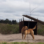 AF1QipN9WviIo66hqnkXy6cnni12aBxGgxM y2x5NhORw408 h544 k no