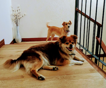 AF1QipN9vFXi4pLIHVPkD9RZLorUzpwNp8MlXTIR8vptw408 h336 k no