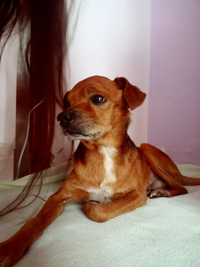 AF1QipNAnB3FVo6EAh3Vbn5vjydU4mvVjx2H6ZlBtuSIw408 h544 k no