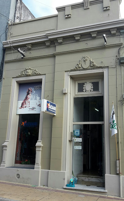 AF1QipNC8WvES3y7a2p1sVJlaAhnvbSTampYwViGQfUzw408 h658 k no