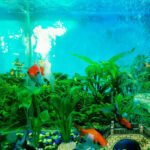 AF1QipNCQV773tvk2oBRey Irkr1nAdDdD eGhCjcdcw408 h514 k no