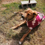 AF1QipNCbTH716q4iySSfCiqY18bBm3fD1Ba1paQz2m6w408 h544 k no