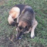 AF1QipNDXO8xscjTre17W7MqM2DFVitB5fYlrP 9bzpNw408 h544 k no