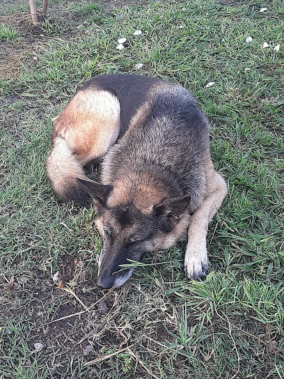 AF1QipNDXO8xscjTre17W7MqM2DFVitB5fYlrP 9bzpNw408 h544 k no