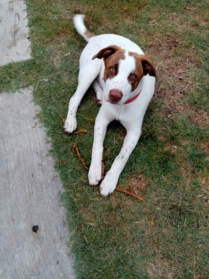 AF1QipNE3Vj39sFMCtHiRTg4WCmGkS TnwSycNecDEyPw408 h544 k no