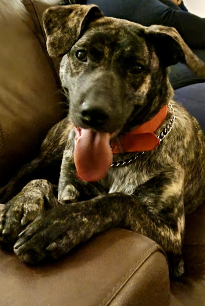 AF1QipNEb2lB5LAVk0ikLbGToY Yy W8bvkd M4DMnK6w408 h609 k no