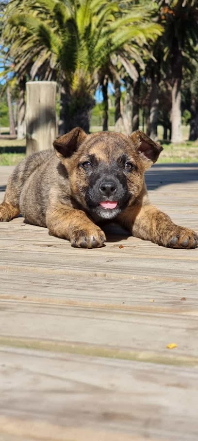 AF1QipNFBrxtkuzeFrC0F5A7BUFx8s8XZnsfudj0qrpMw408 h906 k no