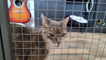 AF1QipNFJ19HejLraET64hBqN3nje FRNDqAUZRQR 16w426 h240 k no