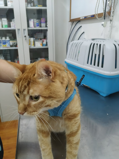 AF1QipNKFCFg8VNH WErXbdW41f66nZtyCP 1crWDqQpw408 h544 k no