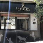 AF1QipNLm9xbU zk 80y BS 3tqAU4Zq4KU4xozzH38Xw408 h306 k no