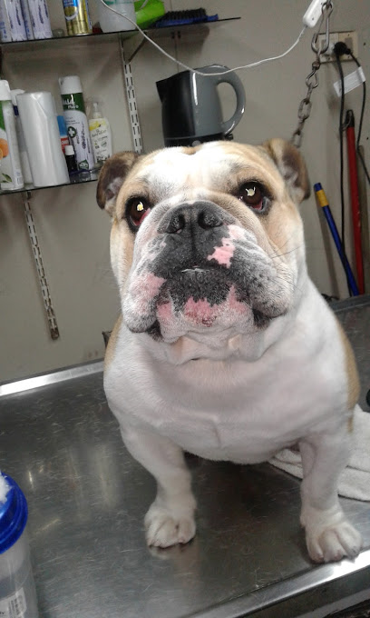 AF1QipNLrrcndlDqRxLXfSYs8MZ9xGiAa3dVqBEzojyBw408 h680 k no