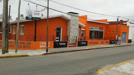 AF1QipNOe2IQ b FoslR001VPEPiquLbmmPc BAjucxSw431 h240 k no