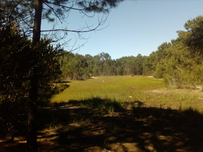 AF1QipNP09w4LwldwI6XyD9C6XBNQO3gAIh9HiktoDgew408 h306 k no