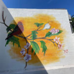 AF1QipNPGkL53MzULUk6E8ROtSc0uUKpM72yIsm3qH1vw408 h306 k no