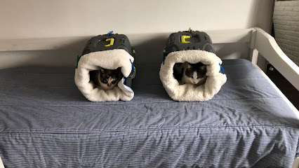 AF1QipNPQTiH3zGrRUHYeTLyzGiYIM3Cd8vnMbWr1B89w426 h240 k no