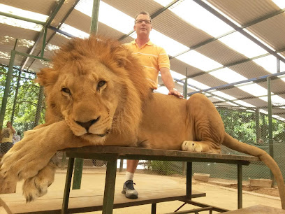 AF1QipNPzPK9AaiEuzPC5sFLKG7Y8RKCRwYvNZu9yMg8w408 h306 k no