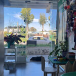 AF1QipNTJnYiADn i5xnGqYo4PvPJmS5rK xQh26TavDw408 h725 k no