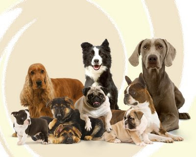 AF1QipNVZJjuUxiz16iNRVvGFAig86axTG2xRWMeT1E8w408 h326 k no