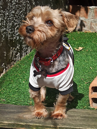 AF1QipNWLvkhO0GcANkUqE1TSLmvzNws4smZOocGGU3Ow408 h543 k no