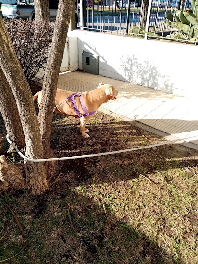 AF1QipNYA9g9Qfd2G1Acgb8OICxnmrEqt Ux8CDton9cw408 h544 k no