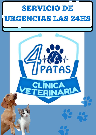 AF1QipN 96 uAM0xaHAYw92QcITjj mUcAm9Tdu1gYimw408 h577 k no