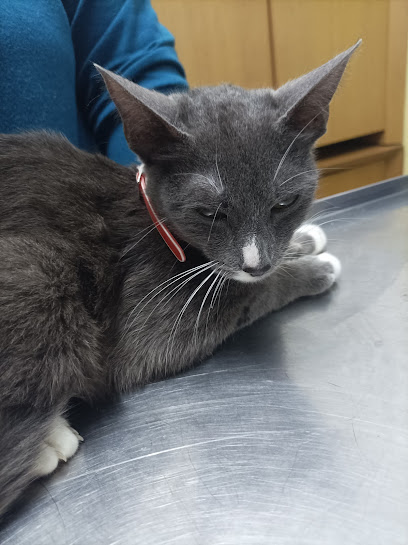 AF1QipN TWSTPb7e2SECJABJo j7cvlnEJIYyDC2VJ2yw408 h545 k no