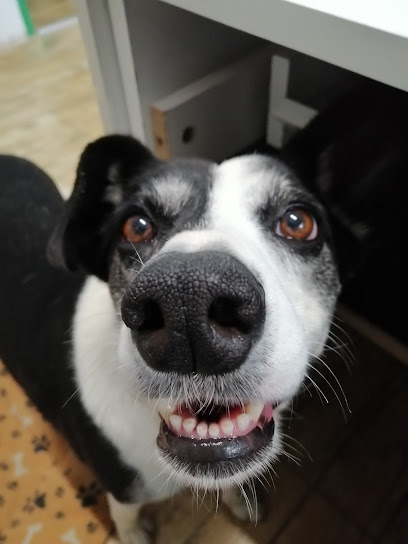 AF1QipN c6yd6vMgNKm2sRdT kugHXQE3nHG9Q712gvRw408 h544 k no